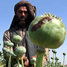 Очерк политической и экономической ситуации в современном Афганистане. Часть вторая: Талибан 