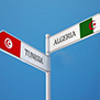 Страны Магриба после Арабской весны. Тунис и Алжир