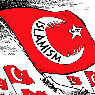 Радикальные исламисты Турции