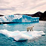 Арктика: конец аллюзии, или Белое Безмолвие гибридной войны