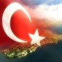 Крымский аспект российско-турецких отношений: факторы «мягкой и жесткой силы»