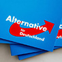 «Альтернатива для Германии»: без внутренней альтернативы?